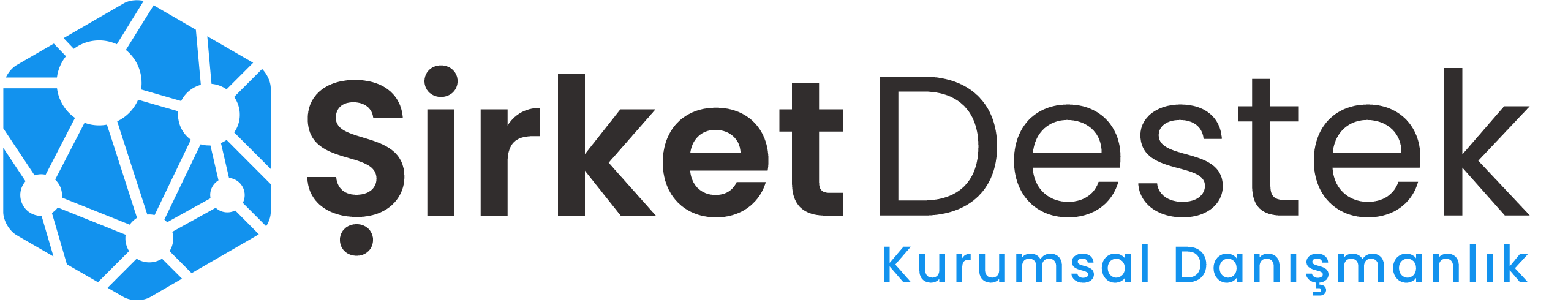 ŞirketDestek.com