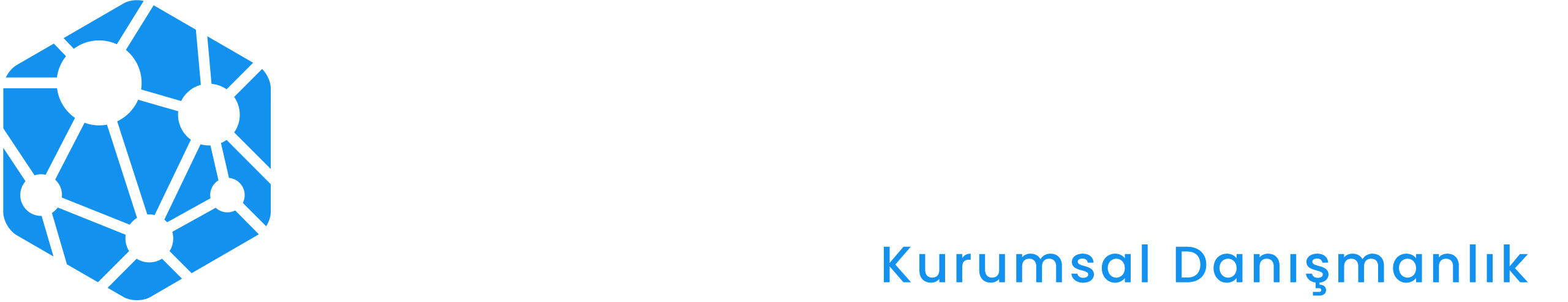 ŞirketDestek.com